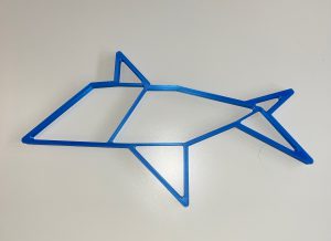 Shark