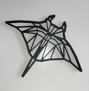 Manta Ray