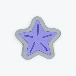 Starfish Magnet