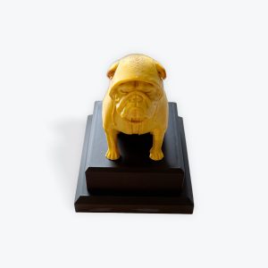 Trophy - Top Dawg Award
