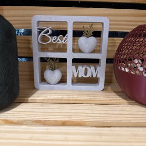 Best Mom